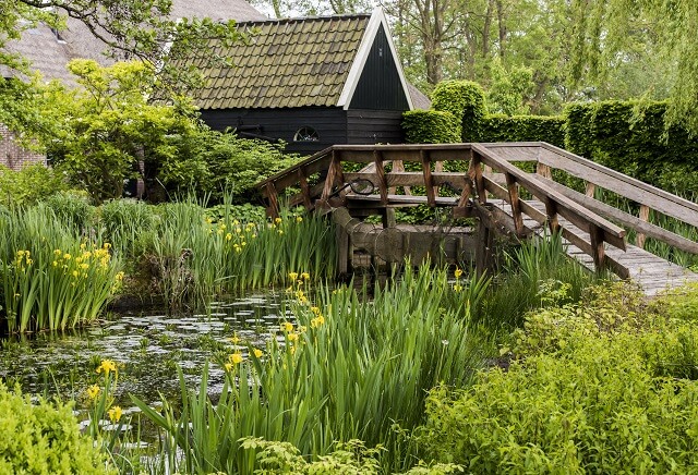 Caratteristico villaggio, Giethoorn si trova in Olanda e, più precisamente nella provincia dell’Overijssel. Oltre alle bellezze preservate all’interno del Parco Nazionale Weerribben-Wieden, luogo magico ove è posizionata Giethoorn Olanda, questo idilliaco paese riserva numerose attrattive turistiche. Infatti, non solo propone un rilassante verde ma, come ben ricordato nel sito giethoorn.com, è un affascinante villaggio olandese quasi interamente pedonalizzato. Qui, perciò, si potranno fare bellissime passeggiate, gite in bicicletta oppure a bordo di barche tradizionali. Una occasione imperdibile per ammirare Giethoorn dall’acqua. A tal proposito, come evidenzia il sito giethoorn.com, un portale comodo e ricco di informazioni, sarà possibile tanto noleggiare una punter, ovvero la tipica imbarcazione di Giethoorn, quanto salire a bordo di barche tutte dotate di un silenzioso motore elettrico per poter effettuare un tour in battello, accompagnati da un capitano esperto. Fondata all'inizio del secolo tredicesimo, Giethoorn Olanda offre molte bellezze da poter vedere anche in un solo giorno come, ad esempio, i suoi diversi interessantissimi musei. Per gli amanti delle attività sportive all’aria aperta, oltre che il ciclismo, si potranno praticare windsurf, stand up paddle e molto altro. Invece, per gli amanti dello shopping, è suggerita una visita al Batavia Stad Fashion Outlet. Meta turistica molto apprezzata, quindi, Giethoorn è perfetta sia per trascorrere un rilassante fine settimana e sia per delle distensive vacanza a contatto con la natura. Perciò, andando a concludere, se si è in cerca di ispirazione, è suggerita la visita al sito giethoorn.com, un eccellente portale interamente dedicato a Giethoorn Olanda.